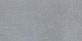 Cohesion Grey 24x48 Polished