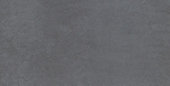 Cohesion Dark Grey 24x48 Polished
