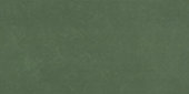 Portfolio Vivid Emerald Green   12x24 Matte