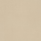 Neoconcrete Beige Square 24X24 Light Polished