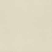 Neoconcrete White  Square  24X24  Light Polished