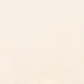 Clay Canvas Chalk  Square  24X24  Polished