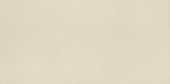 Neoconcrete White  Rectangle  12X24  Light Polished