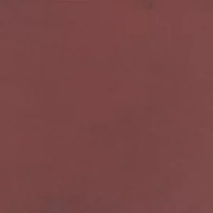 0021RCT624MT Color Story Floor Matte Passion 6x24 Matte