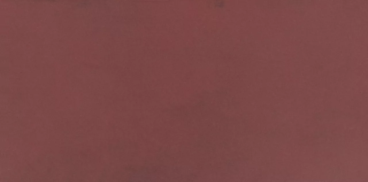 0021RCT624MT Color Story Floor Matte Passion 6x24 Matte