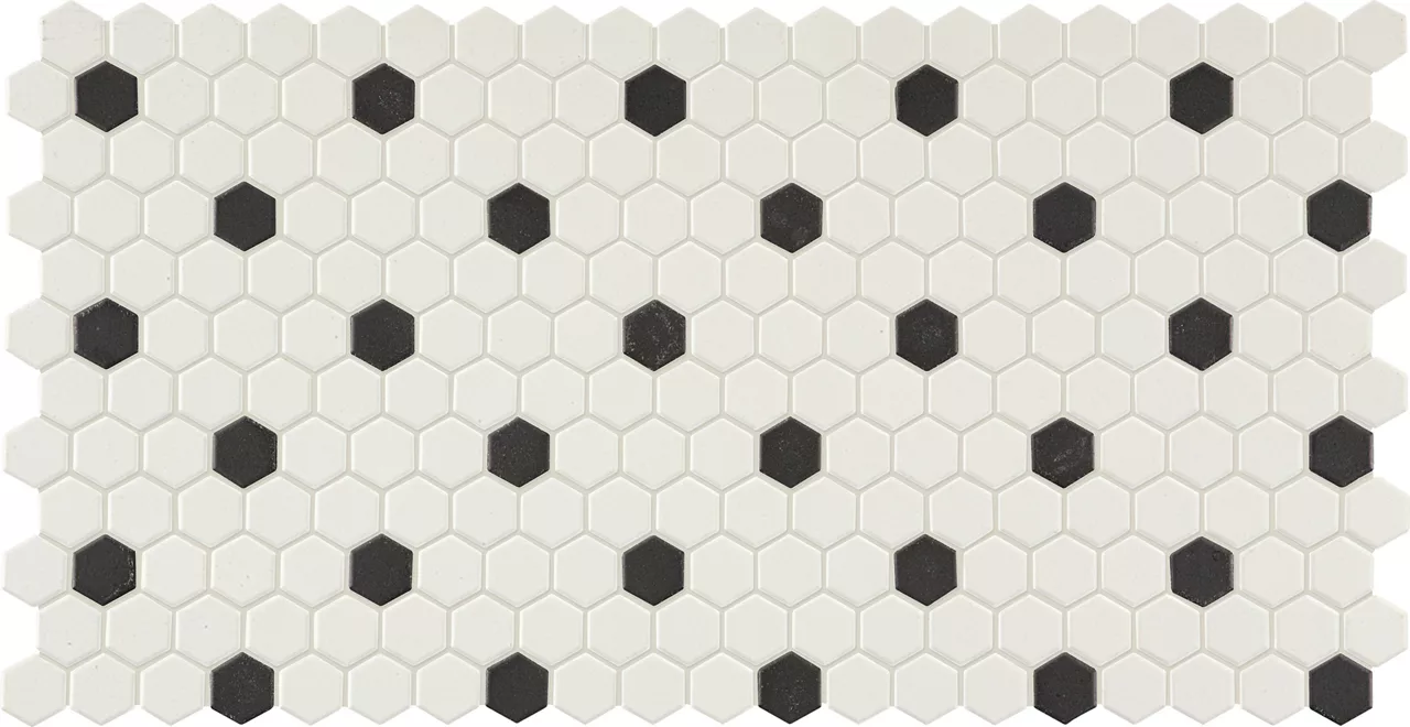 Unglazed Mosaics Ice White/Black Hexagon
