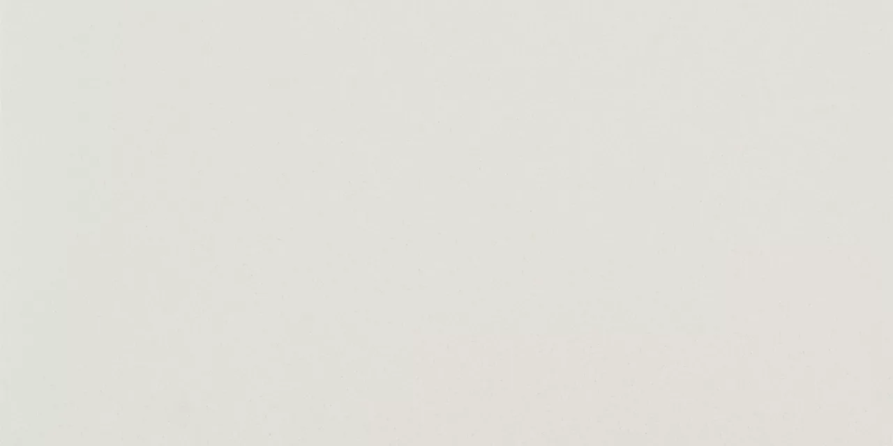 MN4012241P Median White 12X24 Matte