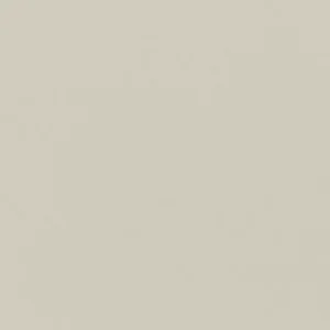 MN4112241P Median Beige 12X24 Matte
