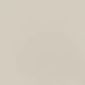 MN412424A1P Median Beige 24x24 Matte