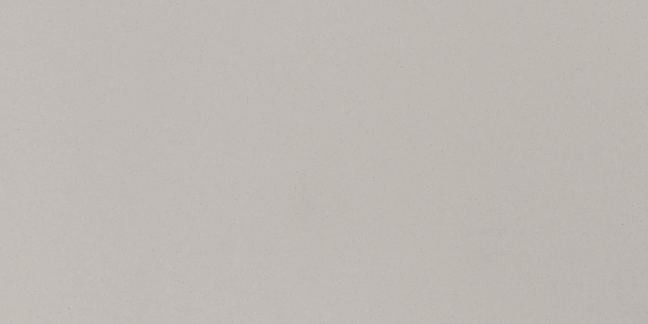 MN4312241P Median Light Gray 12X24 Matte