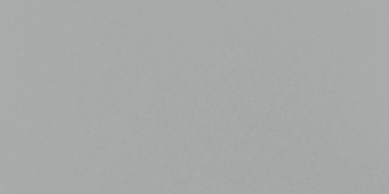 MN4412241P Median Gray 12X24 Matte