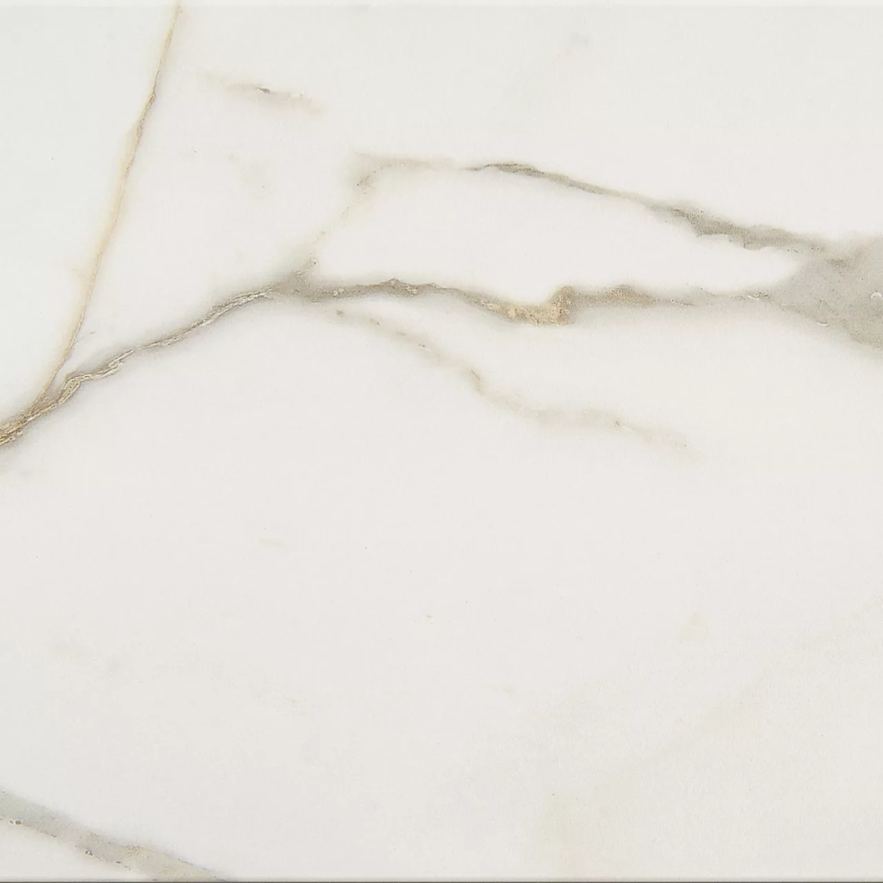 MY1124241PF Mythique Marble Calacatta Venecia 24X24 Matte