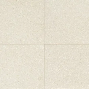 NE01RCT1224MT Neospeck White 12x24 Matte