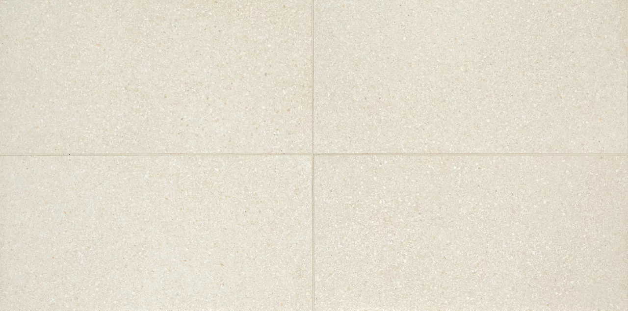 NE01RCT1224MT Neospeck White 12x24 Matte