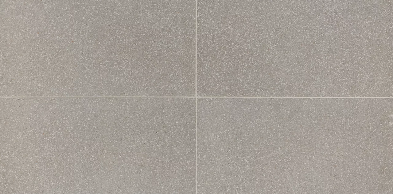 NE03RCT1224MT Neospeck Light Gray 12x24 Matte