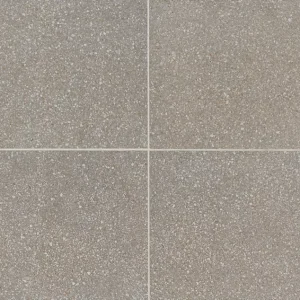 NE0412241PK Neospeck Medium Gray 12X24 Matte