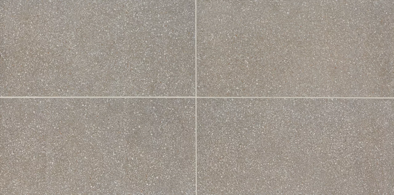 NE0412241PK Neospeck Medium Gray 12X24 Matte