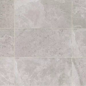 RC02RCT1224MTJ1 Rochester Gray 12X24 Matte