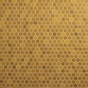 Studio Haven Honey Hexagon