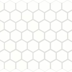 Color Wheel Mosaic Arctic White Hexagon