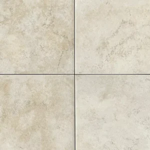 AR021224J1PV Choice Fawn 12X24 Matte