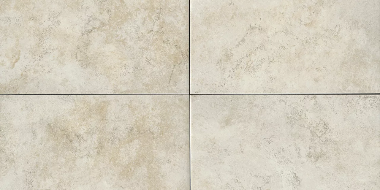 AR021224J1PV Choice Fawn 12X24 Matte