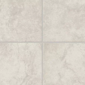 AR041224J1PV Choice Ivory 12X24 Matte
