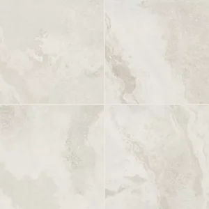 AR40RCT1224MTJ1 Archaia Relic White 12x24 Matte