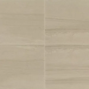 AV18RCT1224MTJ1 Platinum Beige 12X24 Matte