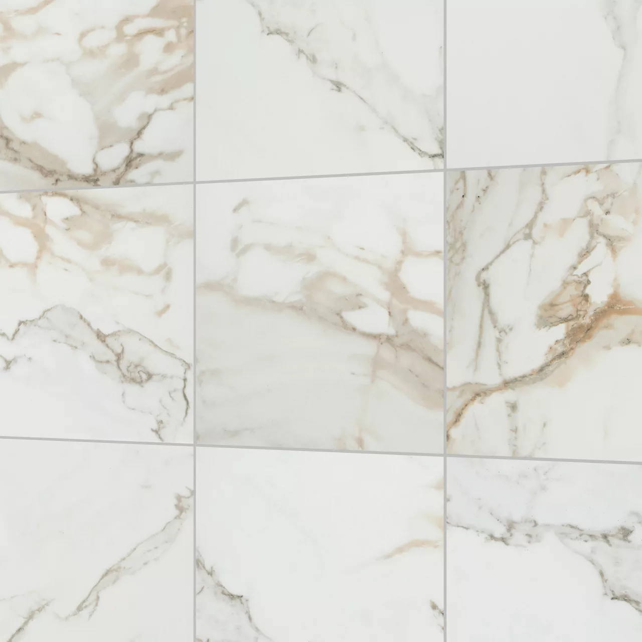 CT70SQ1212MTJJ1 Platinum Magnolia 12x12 Matte
