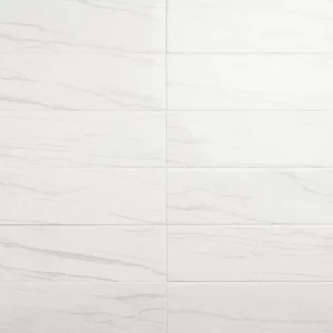 CT74RCT1224MT Platinum Oyster 12x24 Matte