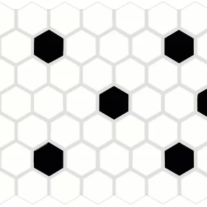 Color Wheel Mosaic Arctic White/Black Hexagon