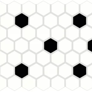 Color Wheel Mosaic Arctic White/Black Matte Hexagon