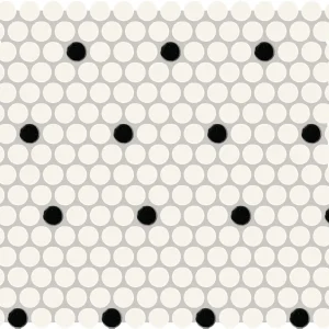 Color Wheel Mosaic Arctic White/Black Matte Penny Rounds