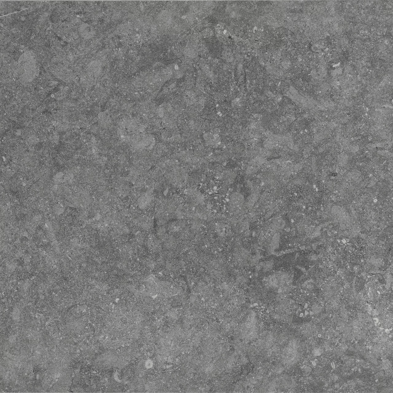 DP0124241P Diplomacy Light Grey 24X24 Matte