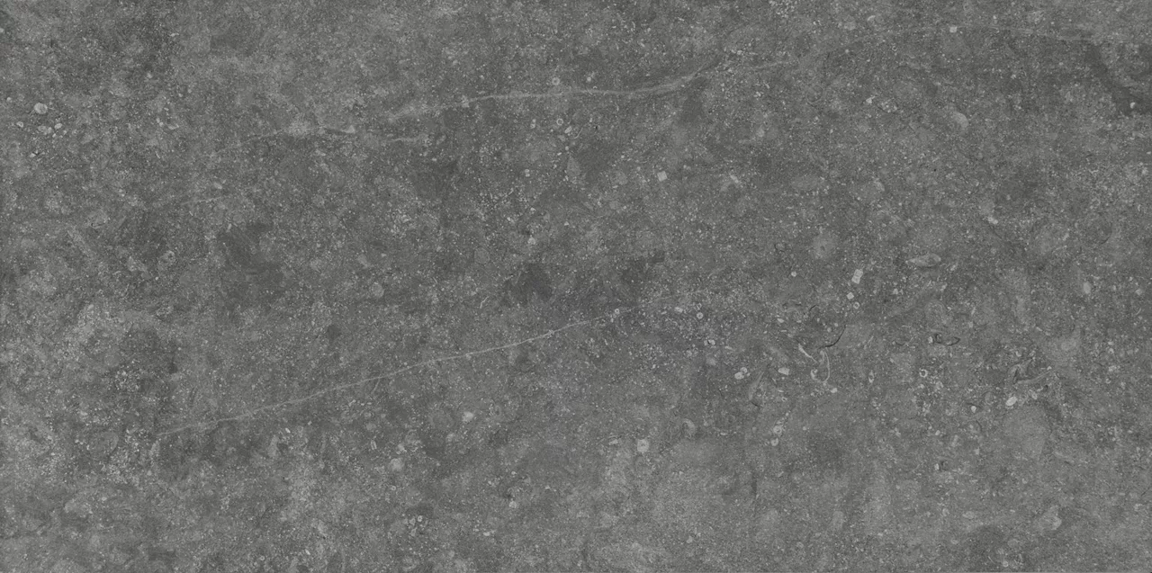 DP0224481P Diplomacy Medium Grey 24X48 Matte