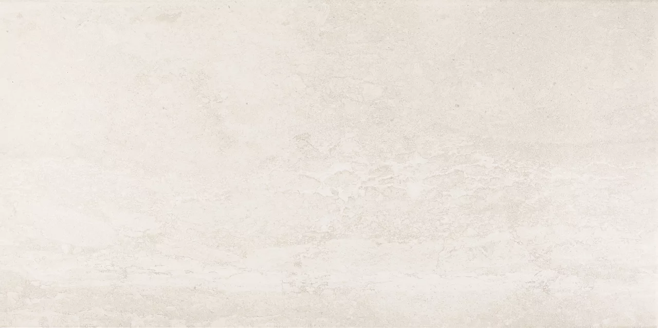 EP201224J1PV Advantage Aria White 12X24 Matte