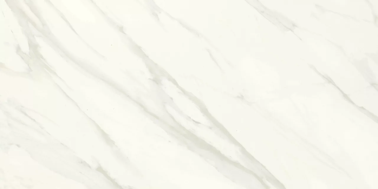 FL06RCT1224RMT Florentine Carrara 12x24 Matte