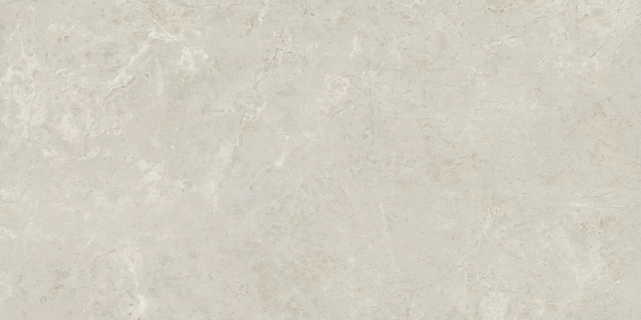 FL08RCT1224RMT Florentine Argento 12x24 Matte