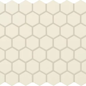 Color Wheel Mosaic Biscuit Hexagon