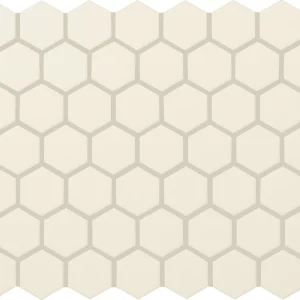 Color Wheel Mosaic Matte Biscuit Hexagon