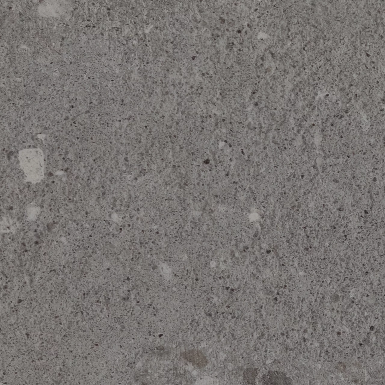 LF052424G30ML3M Loften Coal Limestone 24x24