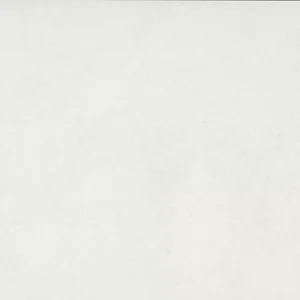PF02RCT1224MT Portfolio White 12x24 Matte