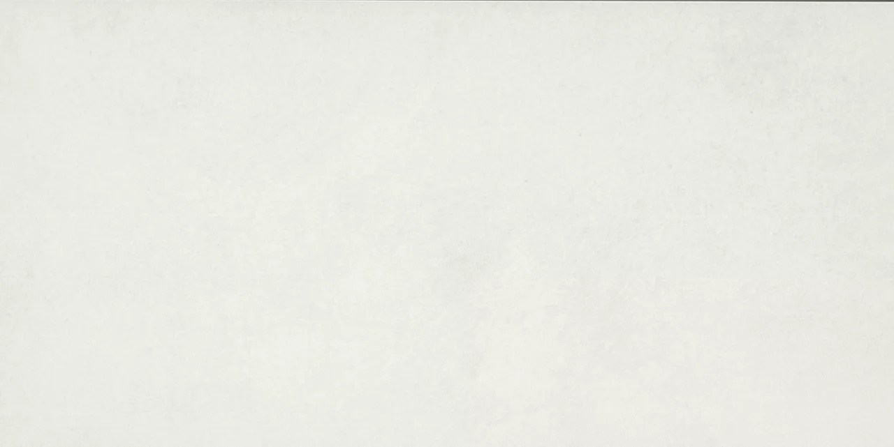 PF02RCT1224MT Portfolio White 12x24 Matte