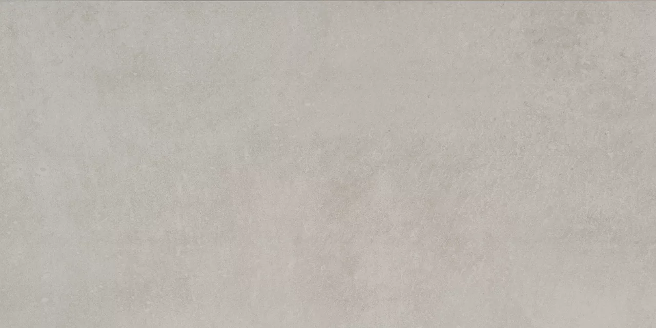 PF04RCT1224MT Portfolio Dove Grey 12x24 Matte