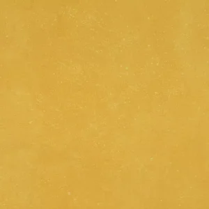 PF22RCT1224MT Portfolio Vivid Generation Z Yellow 12x24 Matte