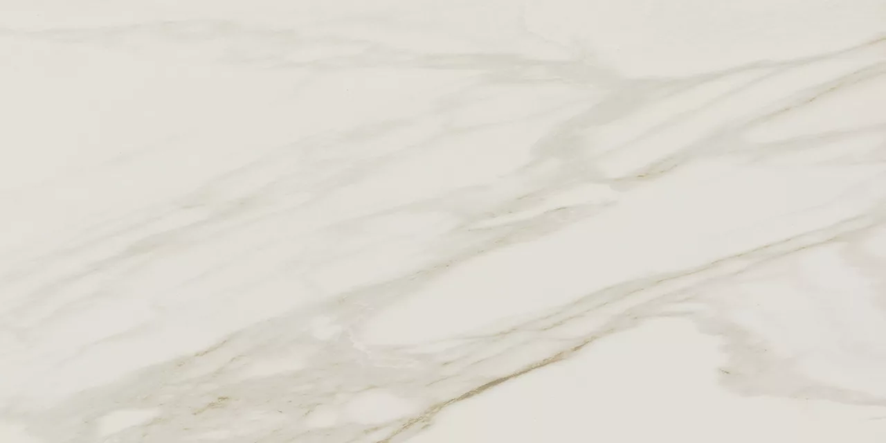 PT21RCT1224MTJ1 Perpetuo Brilliant White 12X24 Matte