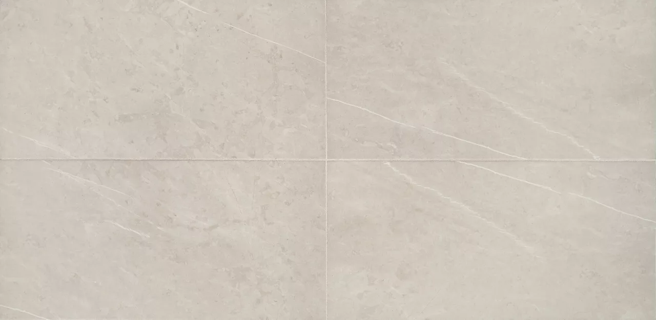 RL211224Z1PV Prime Dynamic Beige 12X24 Matte