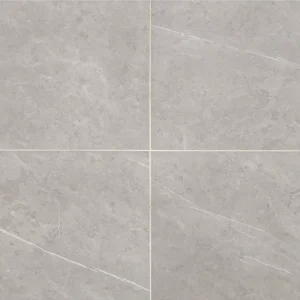 RL23SQ1212MTJJ1 Prime Stamina Grey 12X12 Matte