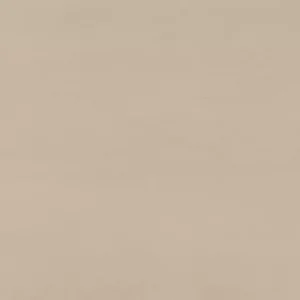 SY31RCT1836RMT Synchronic Beige 18X36 Matte